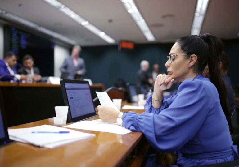 Pelo Estado 04/04: Deputados catarinenses se destacam em Brasília