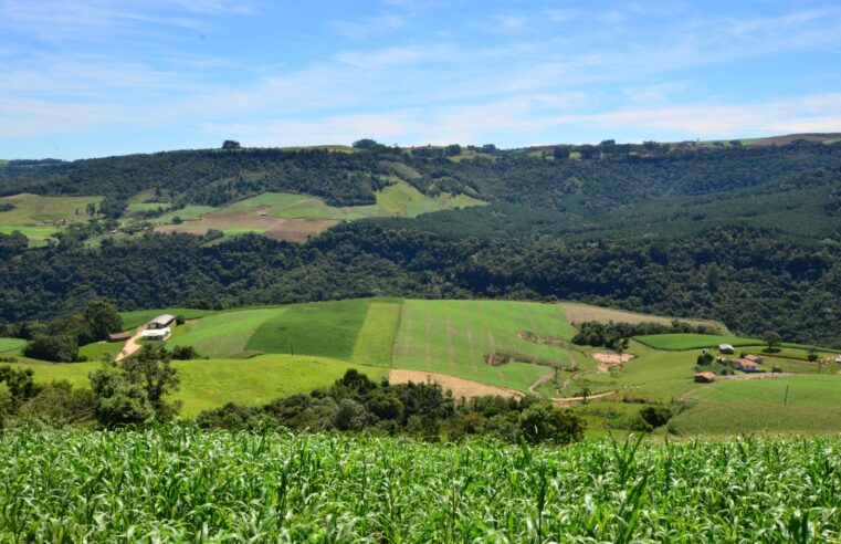 Pelo Estado 01/05: Cooperativas impulsionam a economia de Santa Catarina