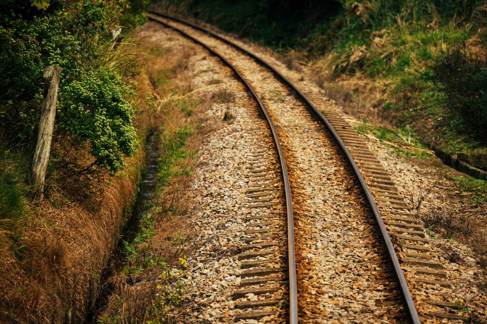 Pelo Estado 18/06: Malha ferroviária deve integrar os quatros estado do Codesul