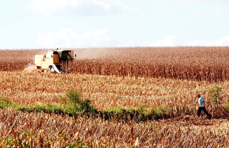 Pelo Estado 02/10: Carga tributária é o principal obstáculo para economia catarinense